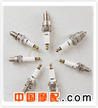 ����ϵ��