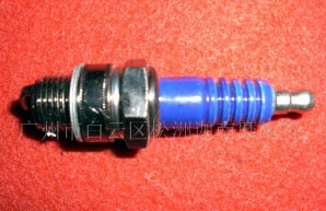 ����(y��ng)Ħ��܇����