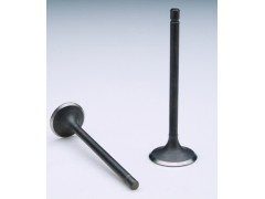 ����Ħ��܇���T