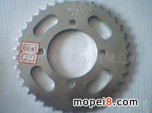 ����(y��ng)Ħ��܇(ch��)�݆