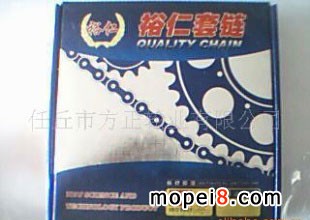 ����(y��ng)Ħ��܇(ch��)�݆