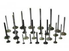 ����Ħ��܇���T