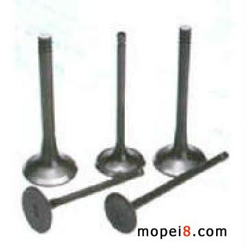 Ħ��܇���Twave125 FXD125 C100 CD70