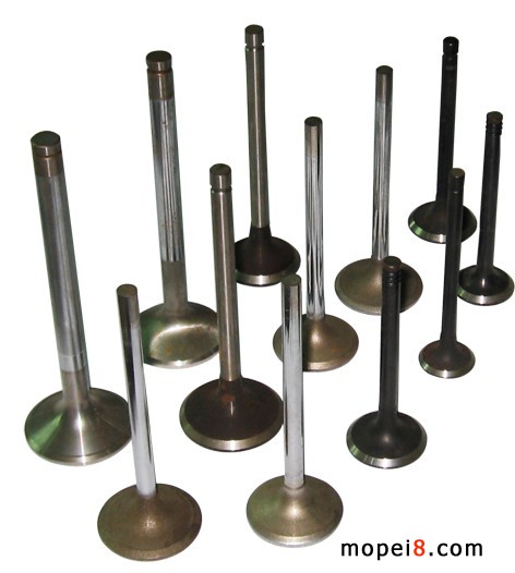 ����(y��ng)Ħ��܇���THONDA TITAN C100 BIZ