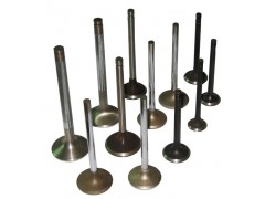 ����Ħ��܇���T