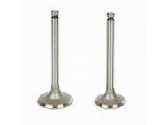 ����Ħ��܇���T����