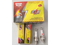 �T�������������S��������