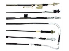 �����_�����ٿv��