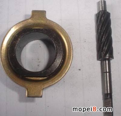 �����x���X݆