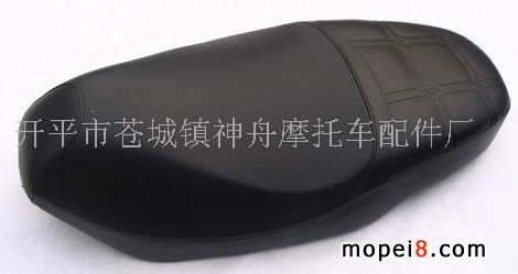 ����SCR100Ħ��܇���|