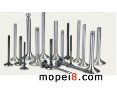 ����Ħ��܇���T