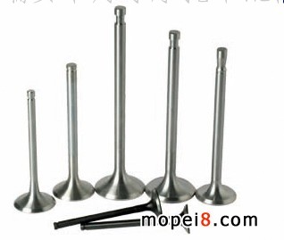 �uĦ��܇���T �ľ�� ̫�� ������ ������