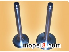 ����Ħ��܇���T