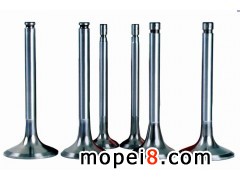 ����Ħ��܇���T