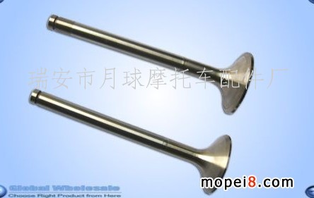 ����(y��ng)Ħ��܇���TGN5 GRAND KAZE CRYPTON