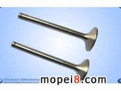 ����Ħ��܇���T