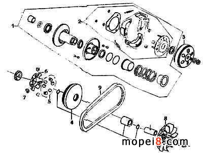 Ƥ��݆���ֽY��