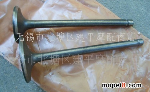 �������R���R��˹��YP-250���T