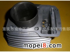 �ؑc�����Ѕ^(q��)�Ƹ���Ħ��܇����N�۲�����Ħ��܇�����w