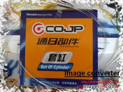 ����Ħ��܇�׸� �V��ͨ�ղ���