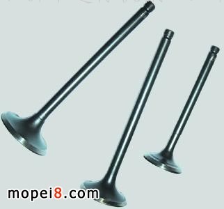 ����Ħ��܇���T