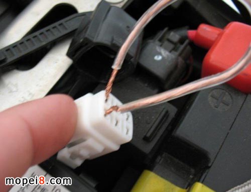 SUZUKI���ϴa��ɫ����