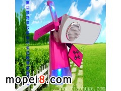 ܇������ҕ�R���