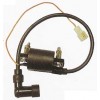 ����(y��ng)CY80�c(di��n)��Ȧ Ħ��܇�߉���IGNITION COIL