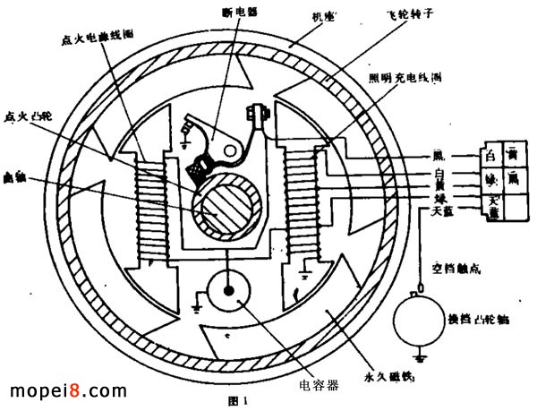 ��늙C�Ę���D