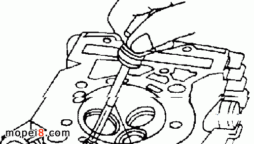 ���q�������T��(d��o)���M���q��