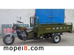 �p��ȼ������܇