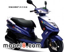 �p��ȼ������܇