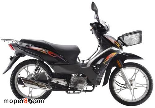 �X������Ħ��܇�L��QJ110-11B