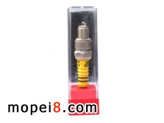 ���_(d��)����Ħ��܇����