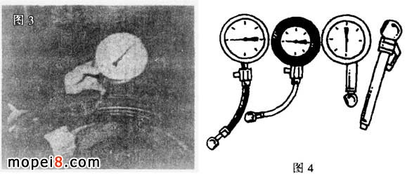 Ħ��܇݆̥̥���z�鼰���N̥����������