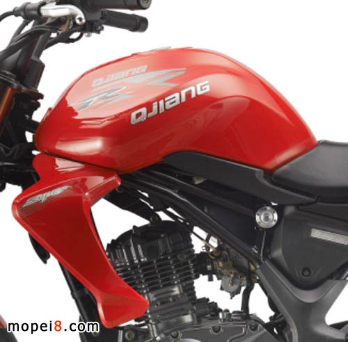 錢江摩托車藍(lán)寶龍摩托車油箱裝飾板