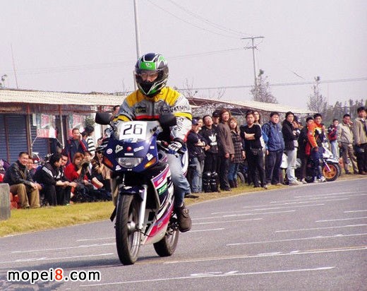 錢江貝納利黃龍600