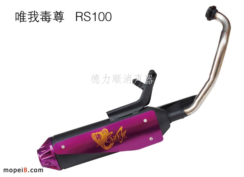 ����(y��ng)Ψ�Ҷ���RS100Ħ��܇���� ���b�Ś��