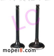 ����C100Ħ��܇���T���M�Ś��T