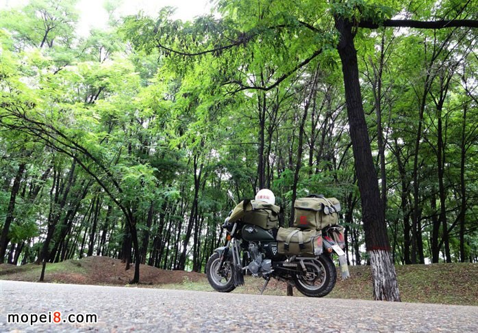 �y�MINIĦ��܇YG150-22Ħ��һ·��