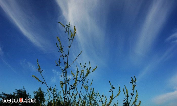 �y�MINIĦ��܇YG150-22Ħ��һ·��