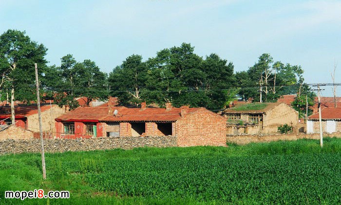 �y�MINIĦ��܇YG150-22Ħ��һ·��