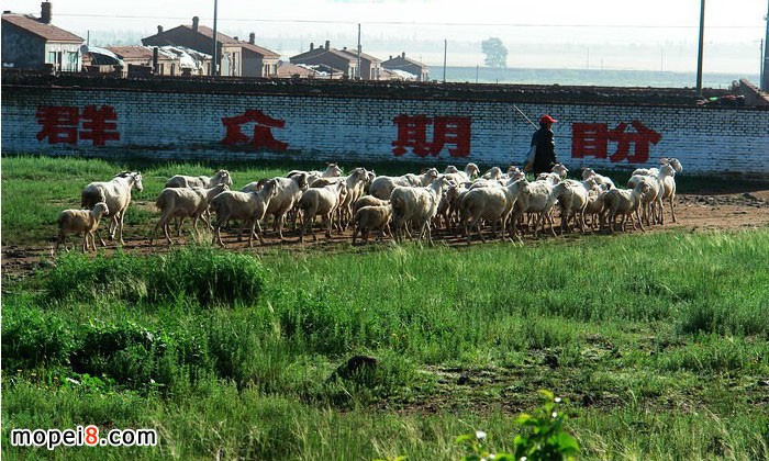 �y�MINIĦ��܇YG150-22Ħ��һ·��