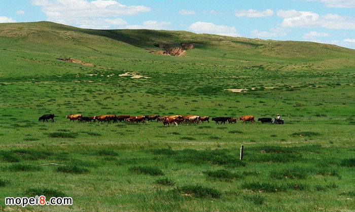 �y�MINIĦ��܇YG150-22Ħ��һ·��