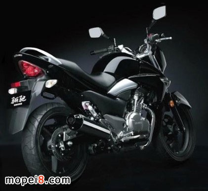 �����ľ�P�YGW250Ħ��܇