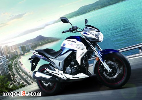 嘉陵新街火223圖片及價格