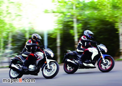 嘉陵新街火223圖片及價格