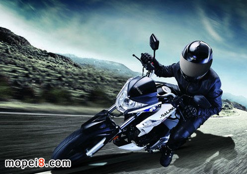 嘉陵新街火223圖片及價格