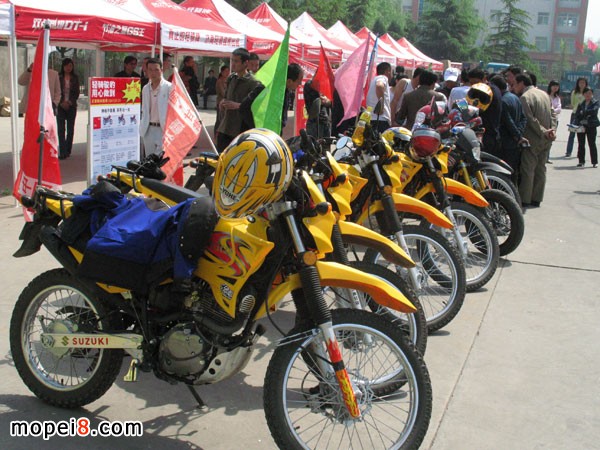 �m���A�I(y��)���Q(m��o)���޹�˾�p�T�ľĦ��܇(ch��)