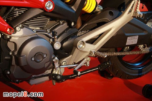 �ſ��Ϲ֫FDucati Monster795